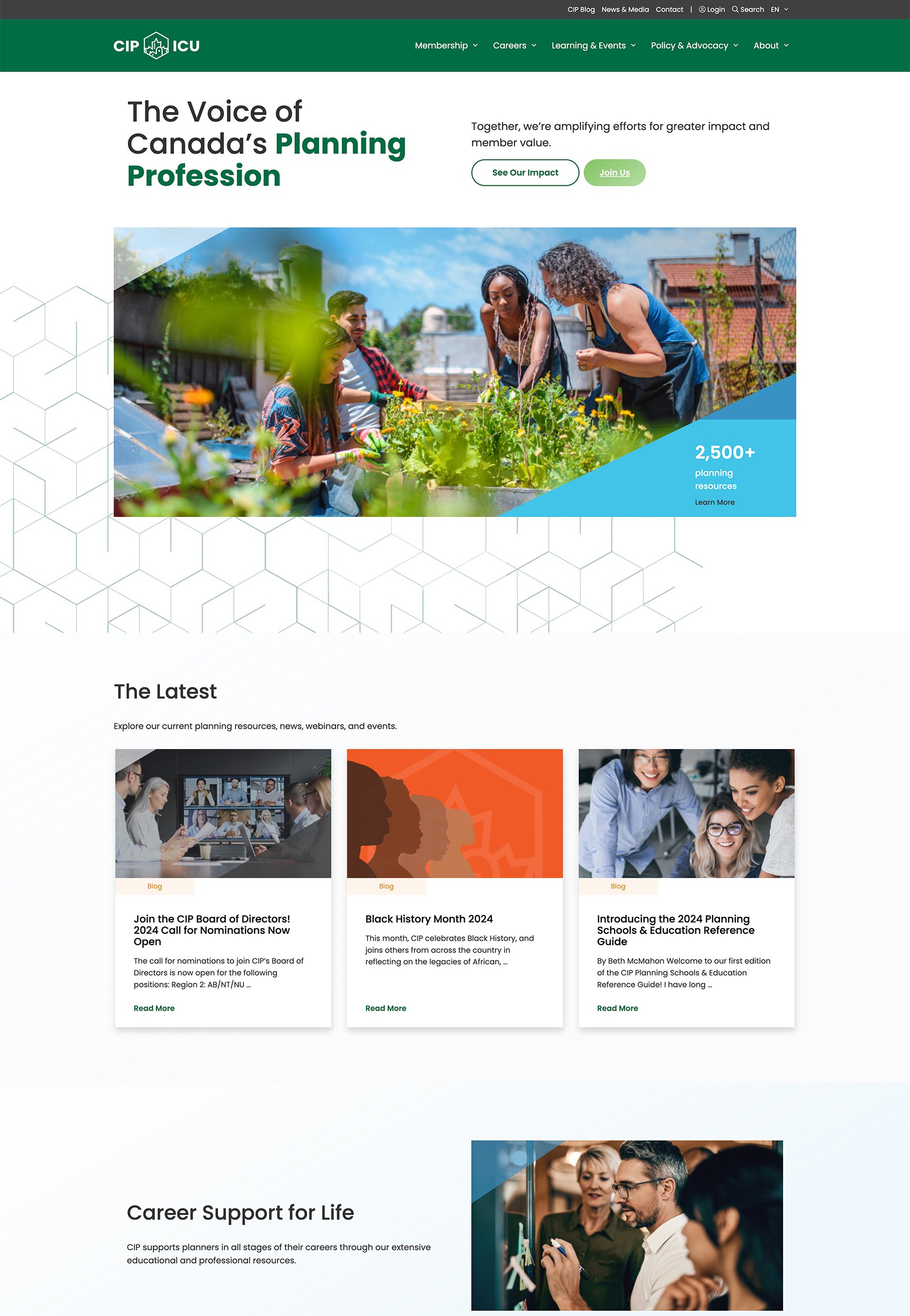 CIP Website Screenshot