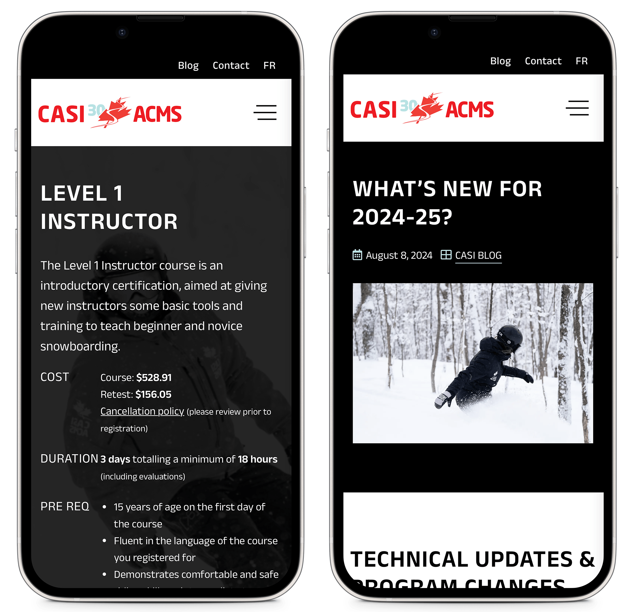 CASI Website Shown on Mobile Devices