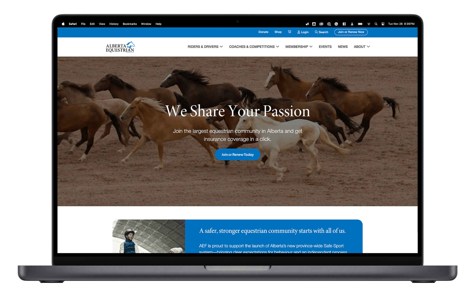 Mockup of the Alberta Equestrian Federation website.