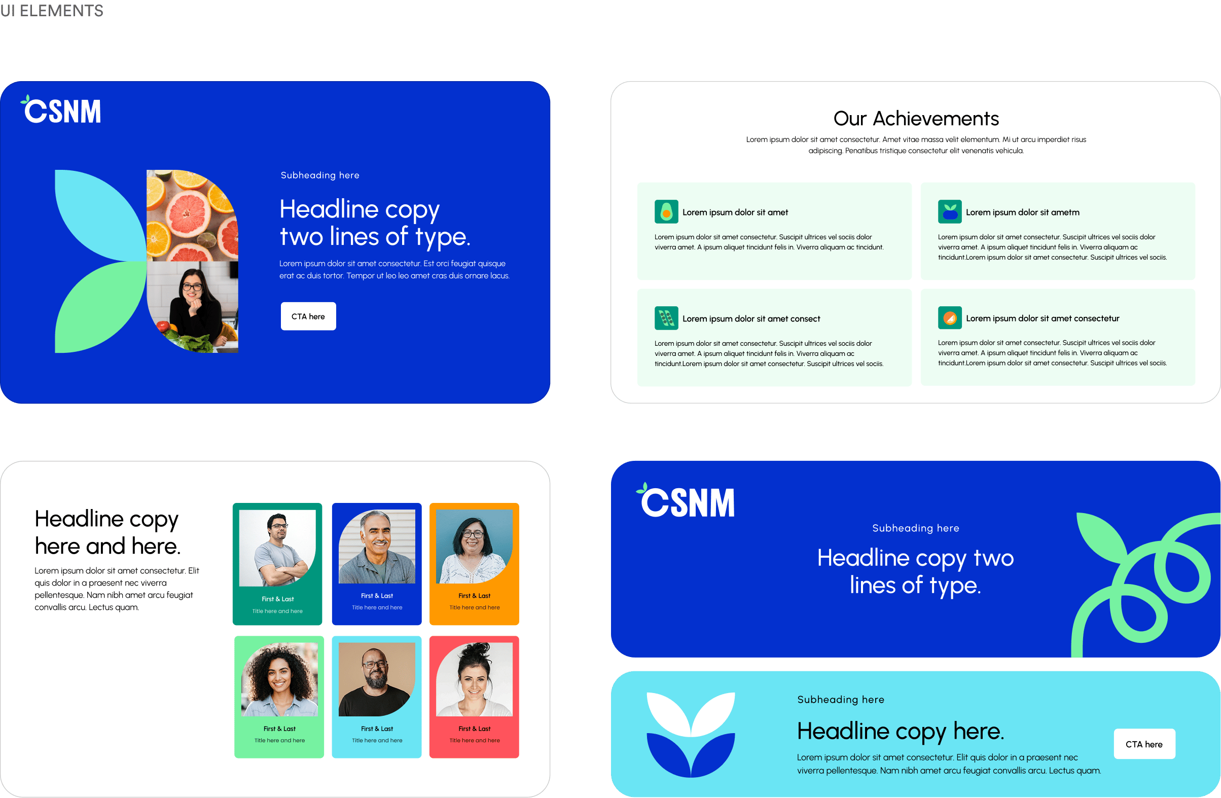 CSNM UI Elements