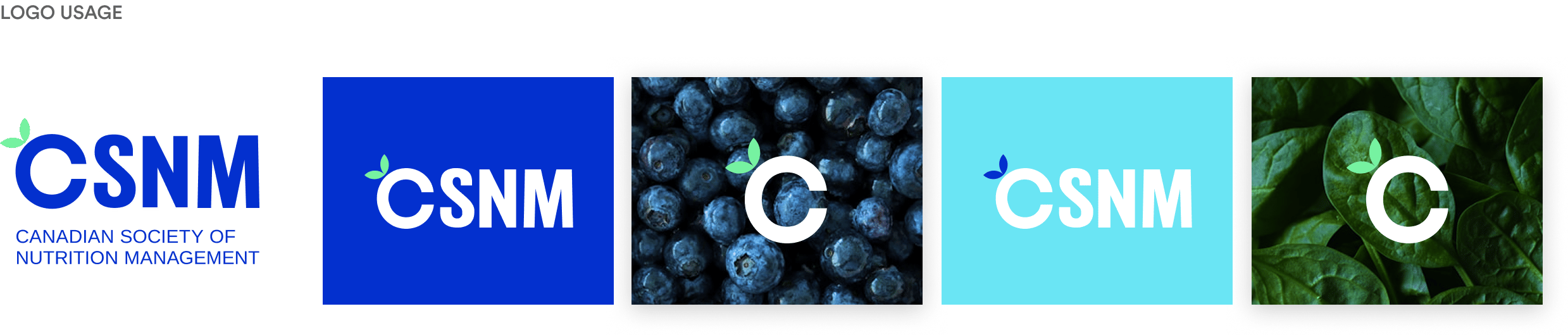 CSNM Logo Usage