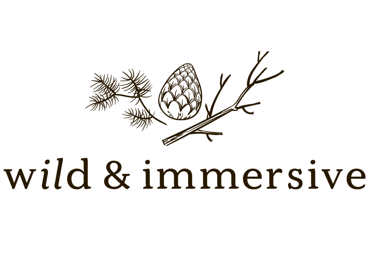 UBC Wild & Immersive Logo