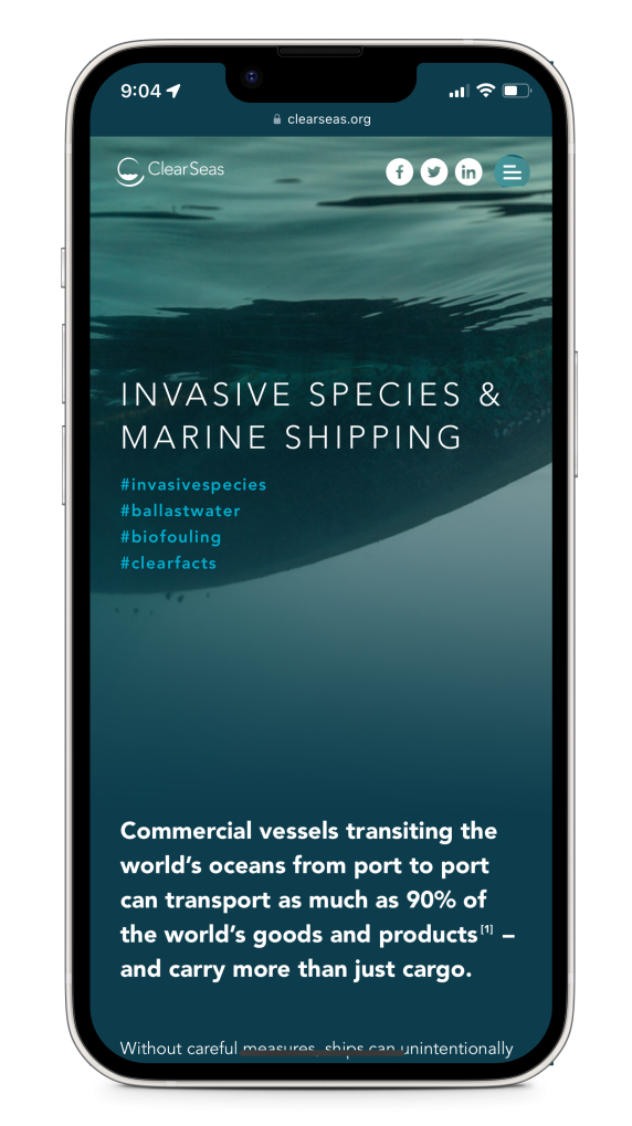 An iPhone mockup showing an example of a microsite website.