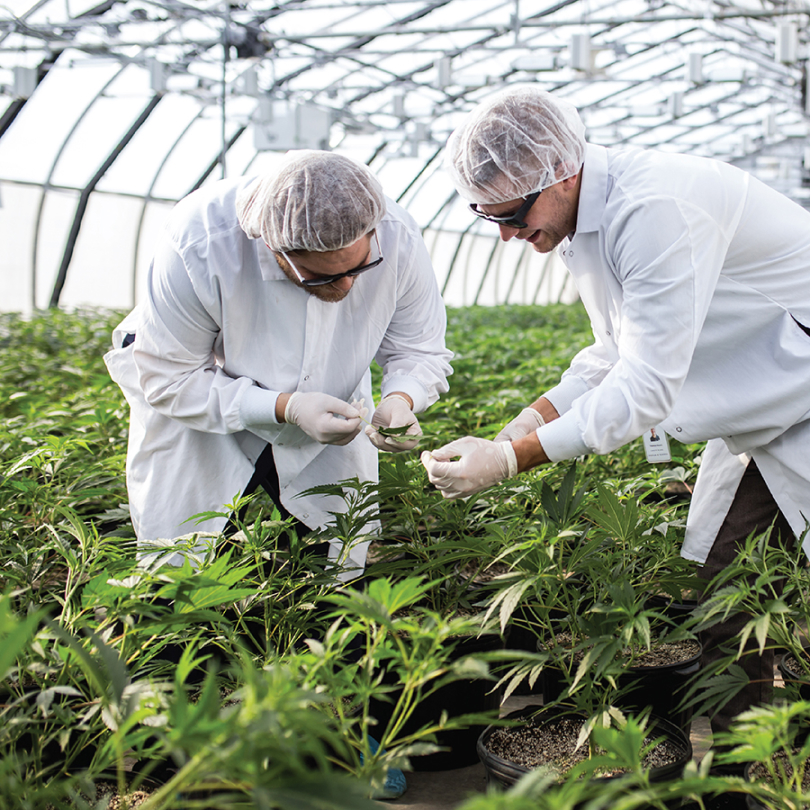 A photo of the Valens team in a field.