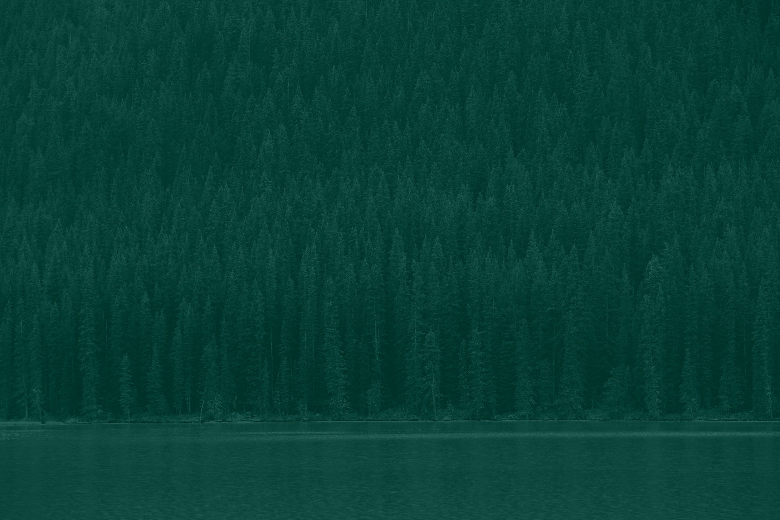 Forest and lake in National Park, Canada.