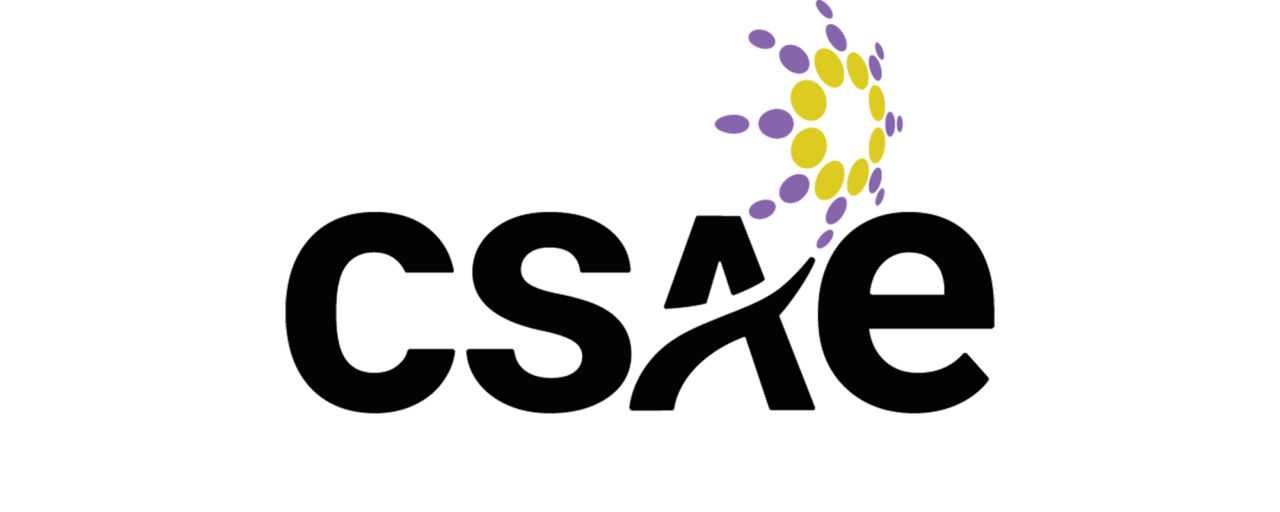 CSAE logo with abstract purple and yellow circular icon and black text