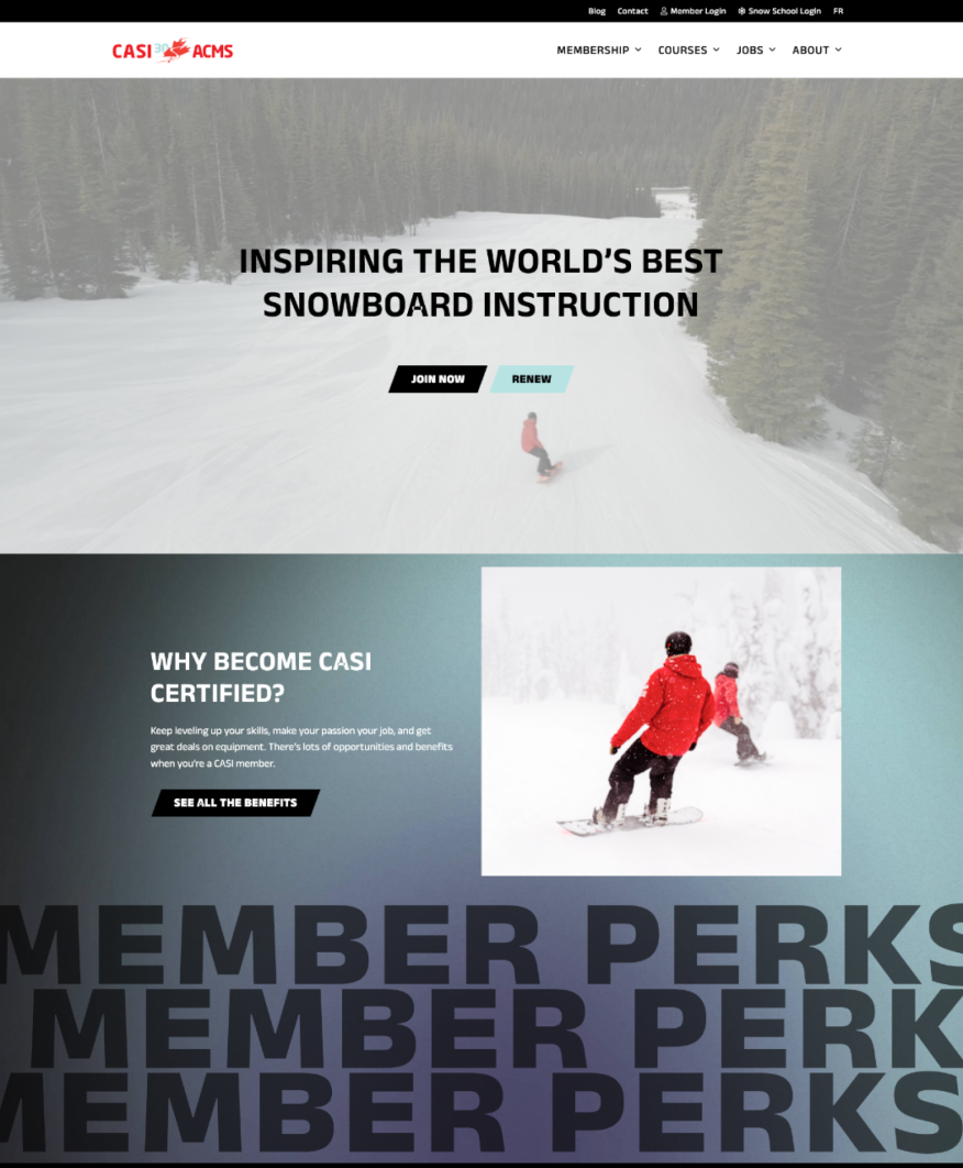 Screenshot of the first couple sections of the CASI website homepage