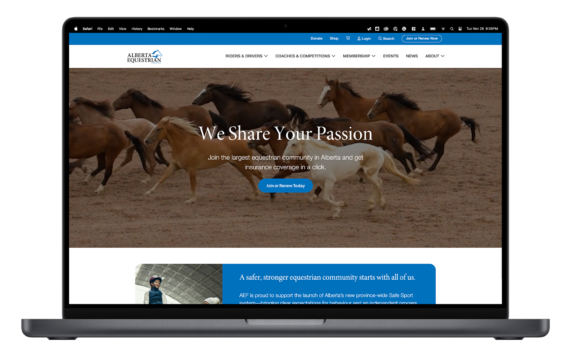 Mockup of the Alberta Equestrian Federation website.