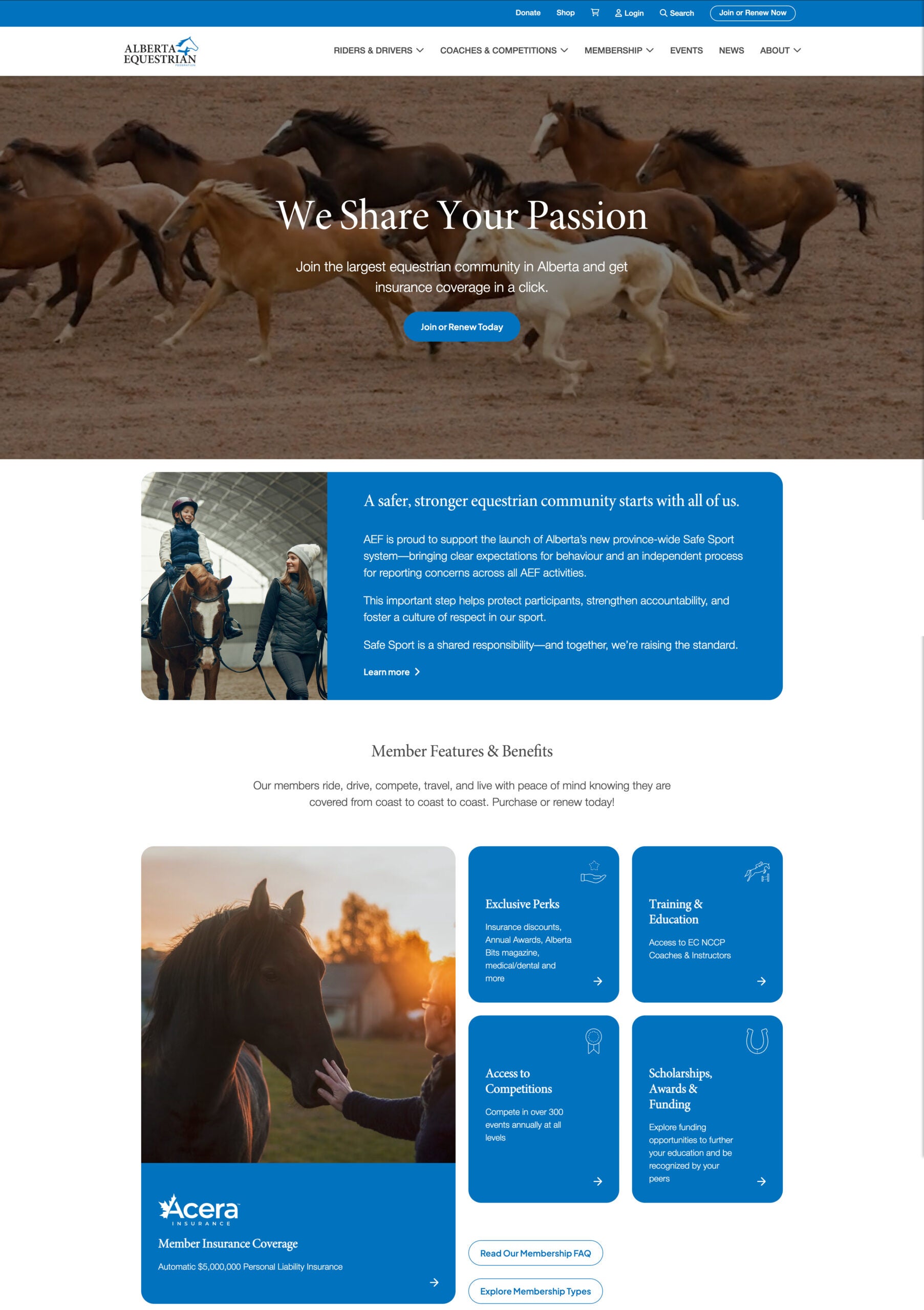 Alberta Equestrian Website Screenshot